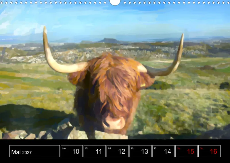 Scottish Wildlife
