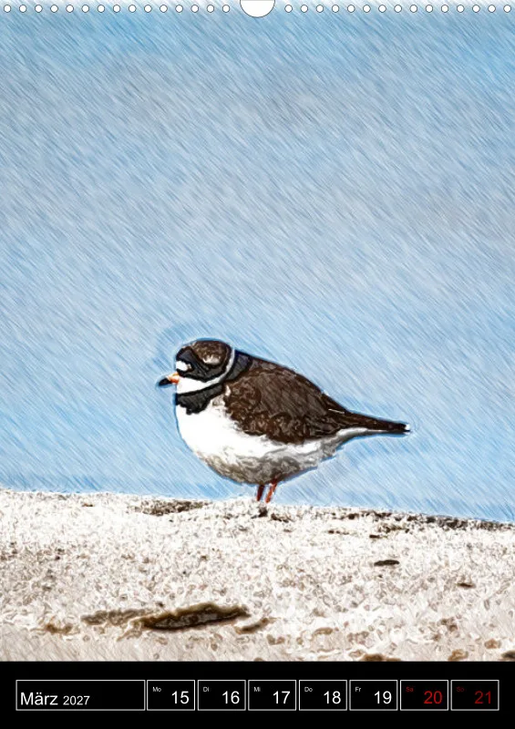 des oiseaux