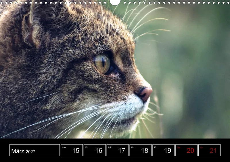 Animaux d'Europe
