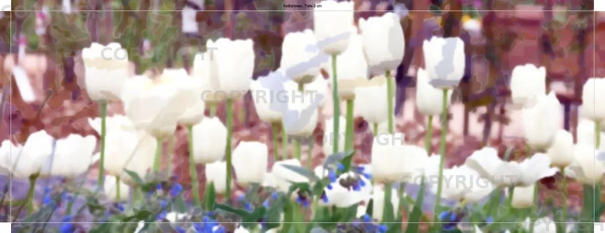 Weißer Frühling