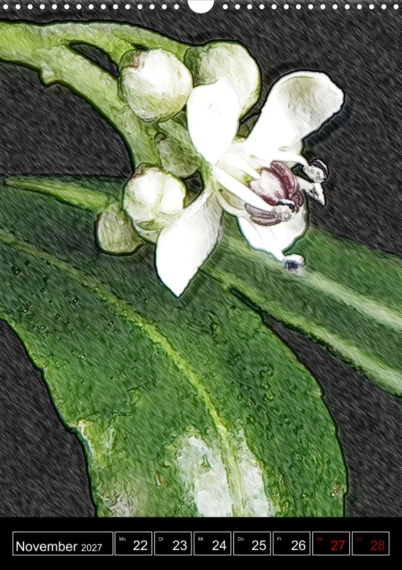La fleur