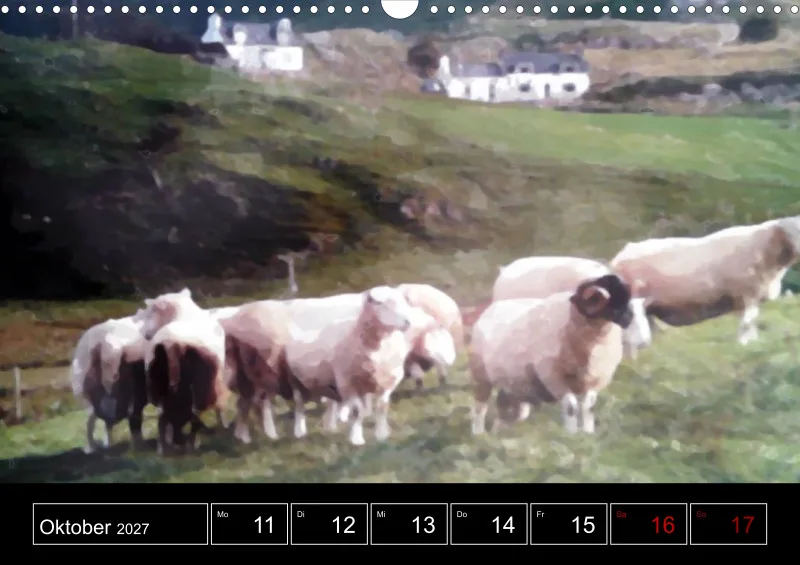 Scottish Wildlife