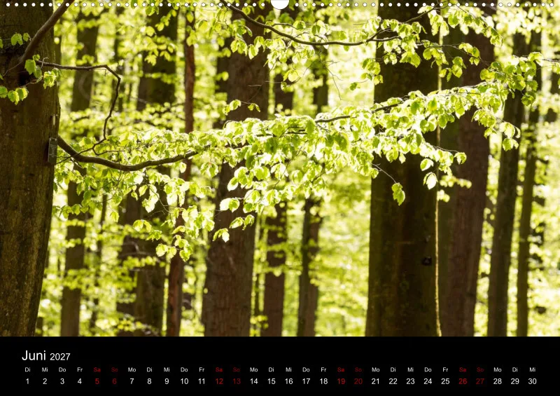 Szenen der Natur