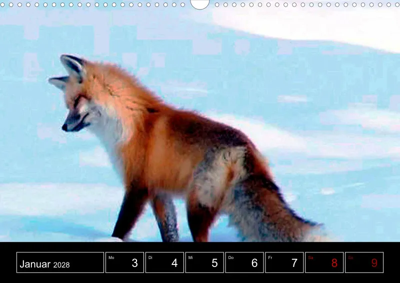 Animaux d'Europe