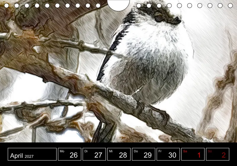 des oiseaux