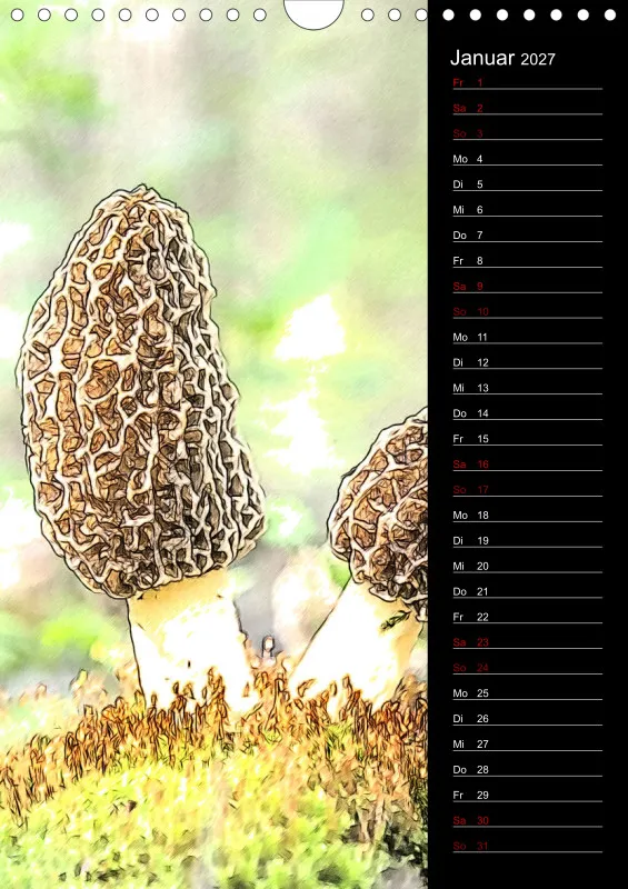 Champignons