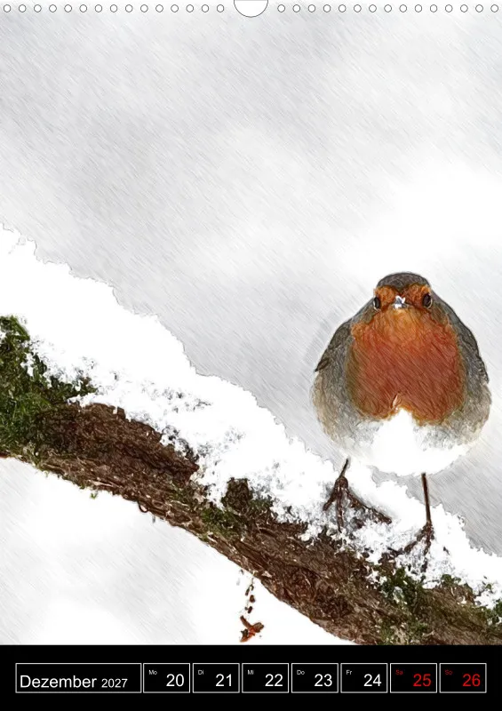 des oiseaux
