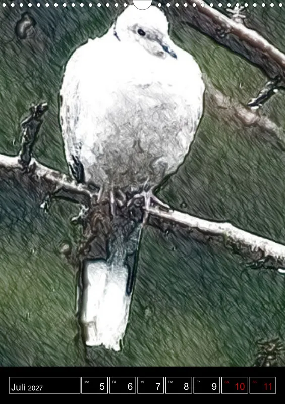 des oiseaux