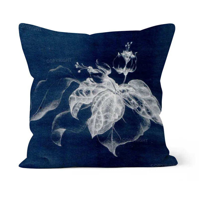 Clerodendron