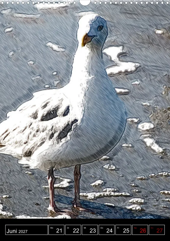 des oiseaux