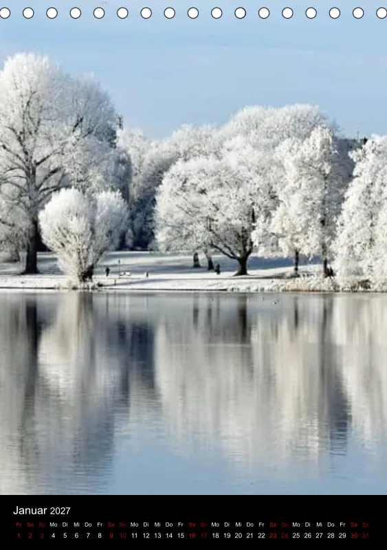 Nature Dreams