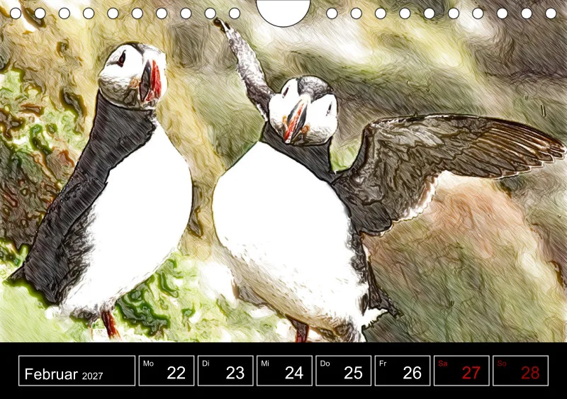 des oiseaux