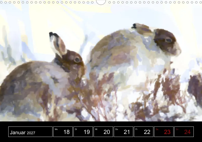 Scottish Wildlife