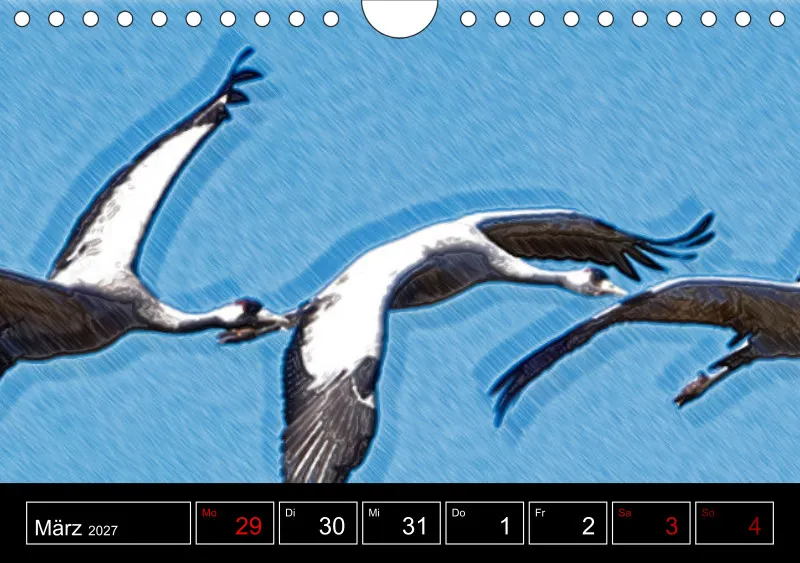 des oiseaux