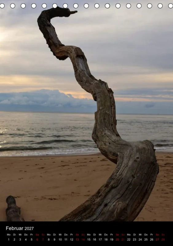 Nature Dreams
