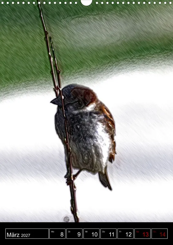 des oiseaux