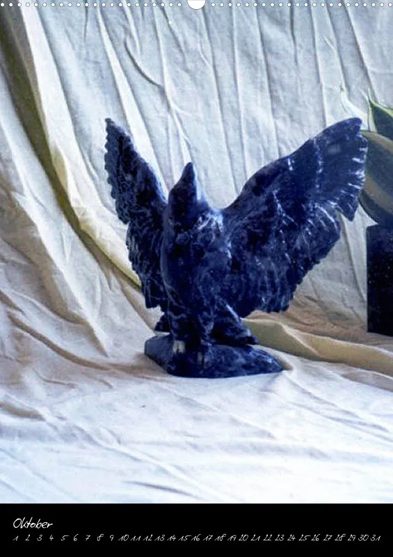 Phoenixfedern