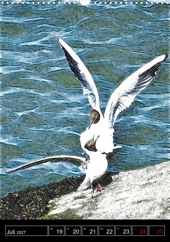 des oiseaux