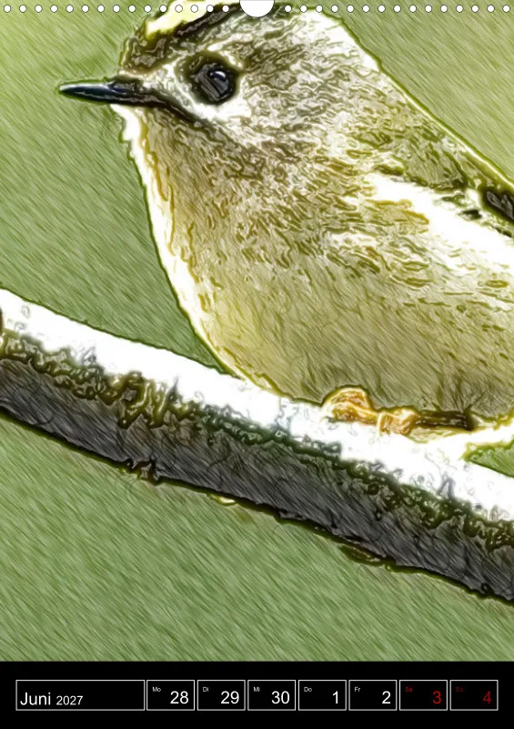 des oiseaux