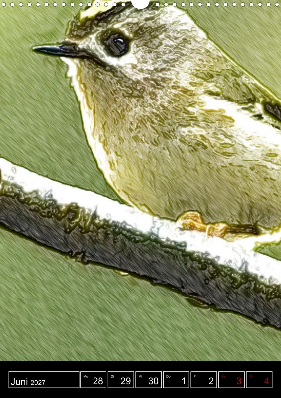 des oiseaux