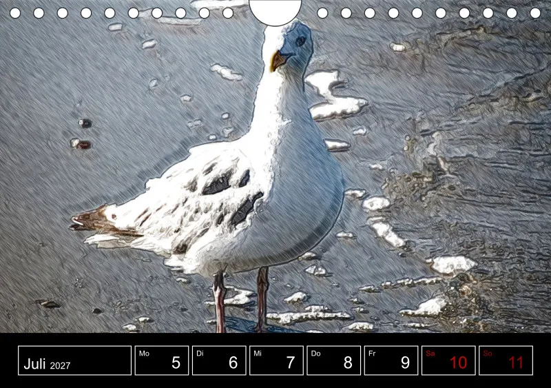 des oiseaux
