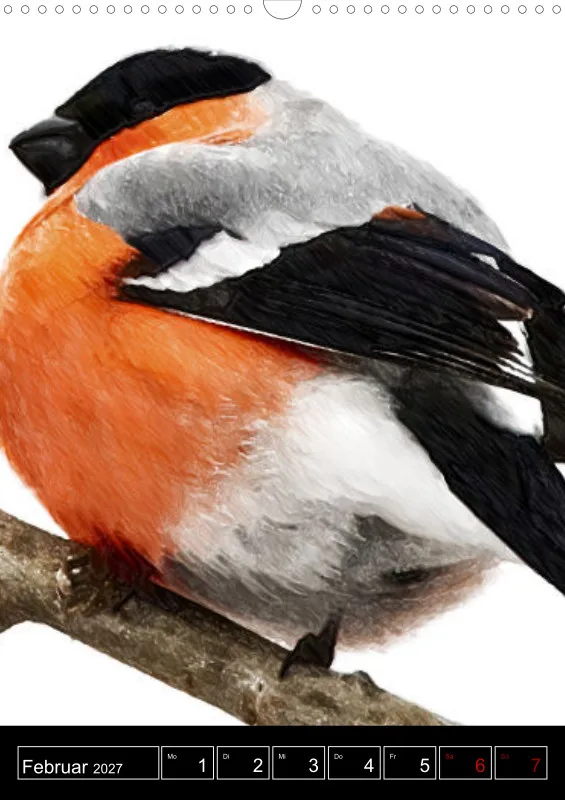 des oiseaux