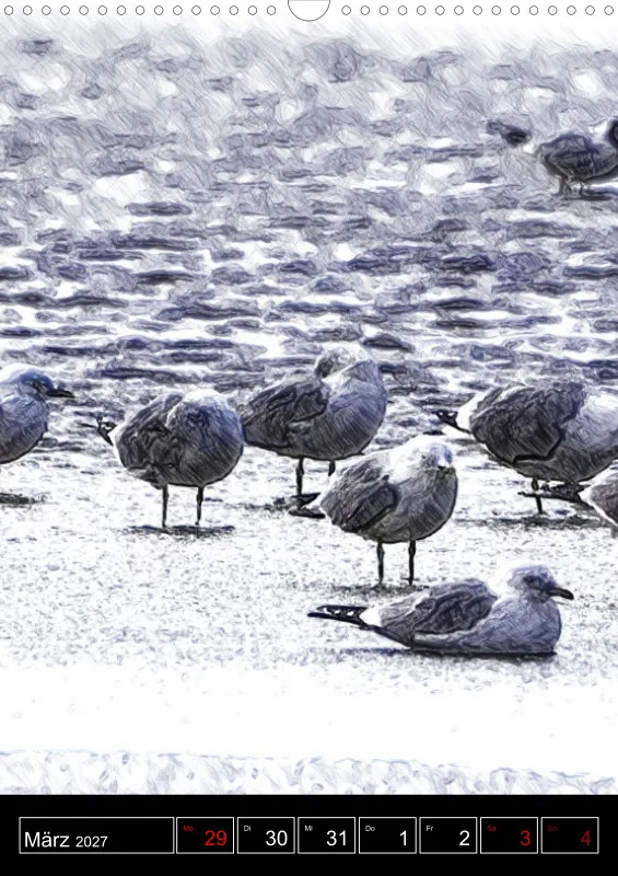 des oiseaux