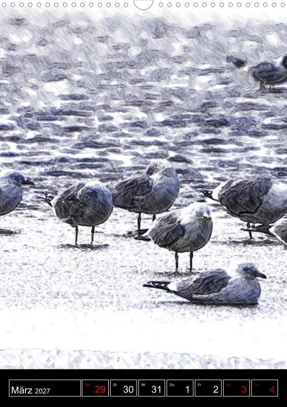 des oiseaux