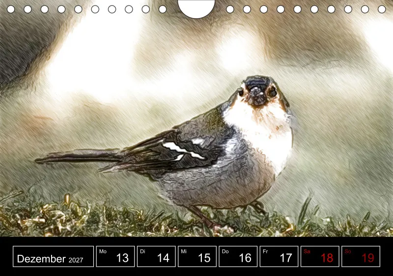 des oiseaux