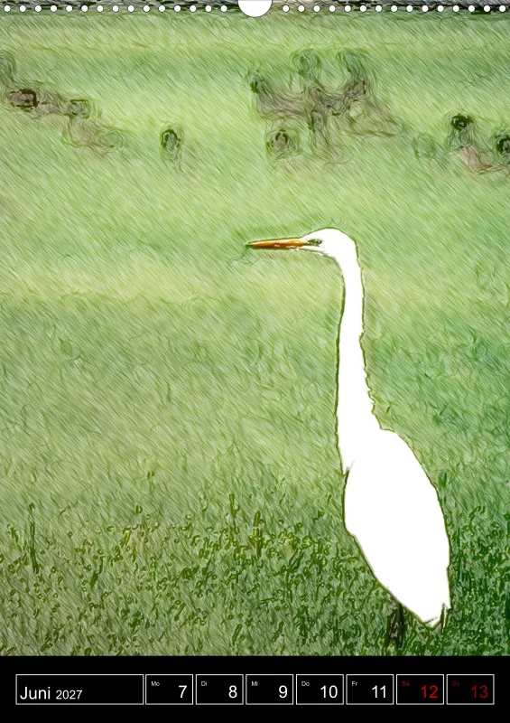 des oiseaux