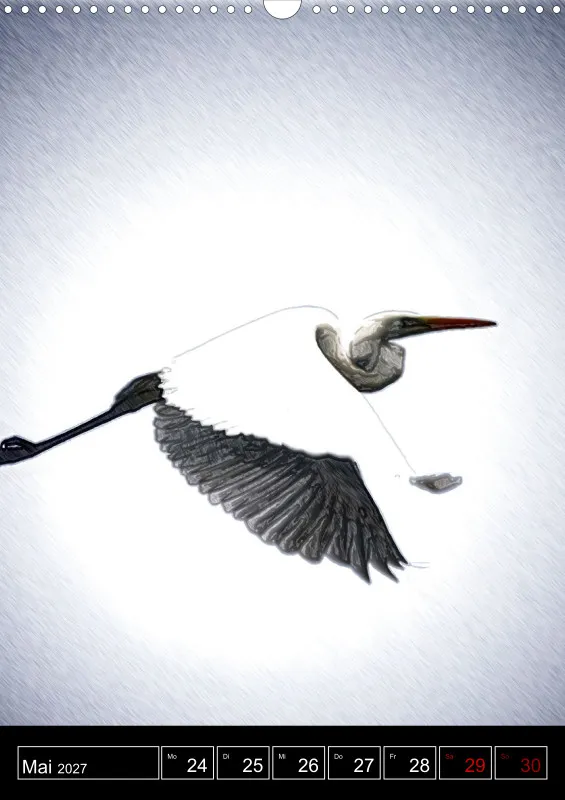 des oiseaux