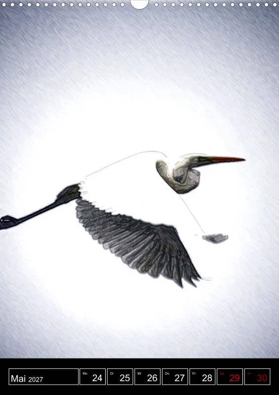 des oiseaux