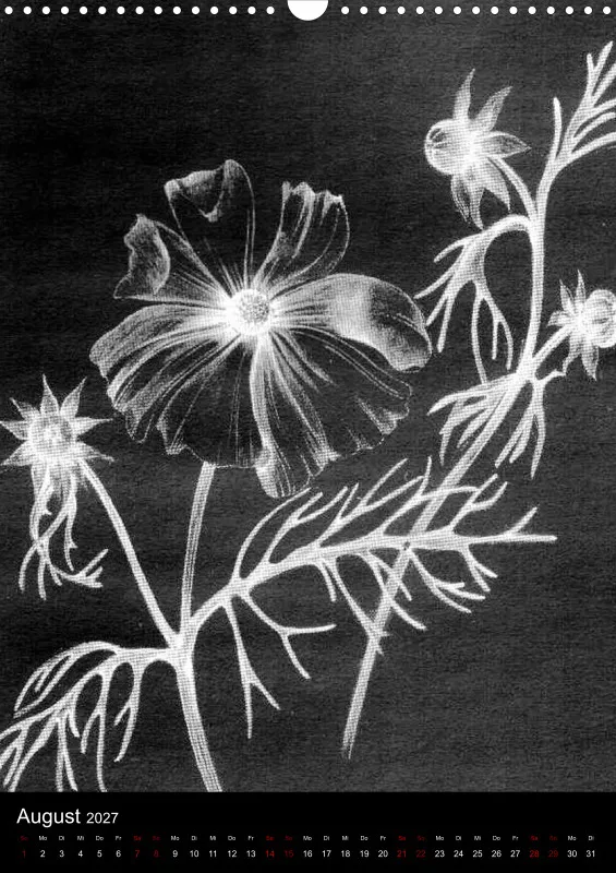 Fleures Noires(