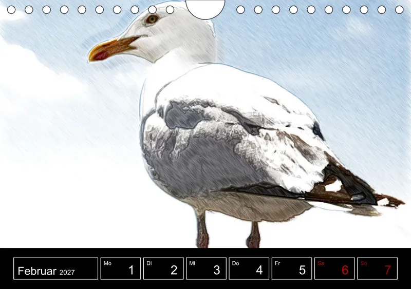 des oiseaux