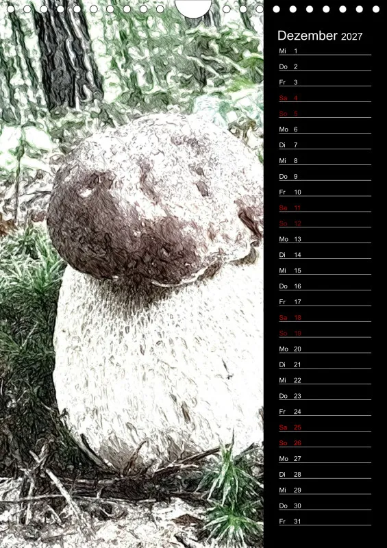Champignons