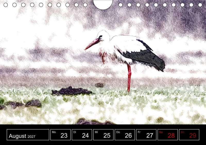 des oiseaux