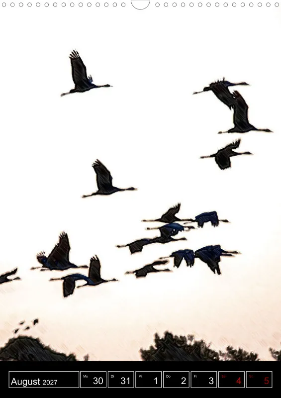 des oiseaux