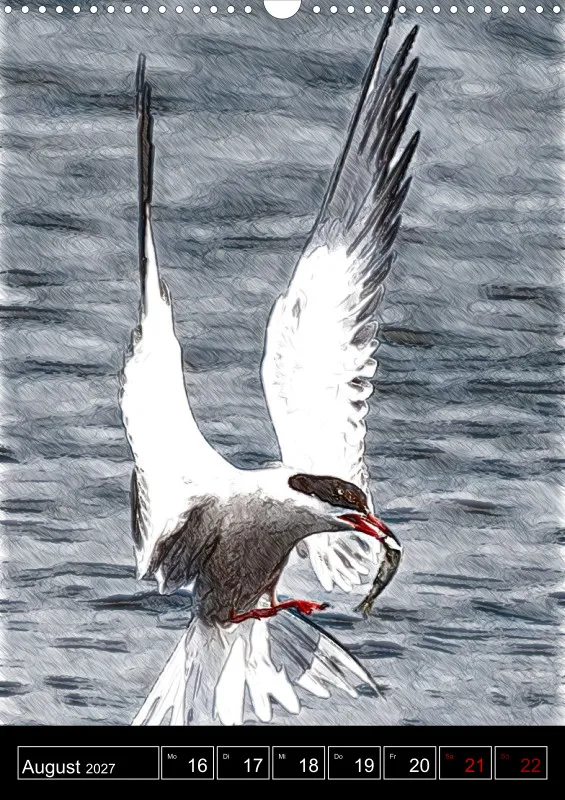 des oiseaux