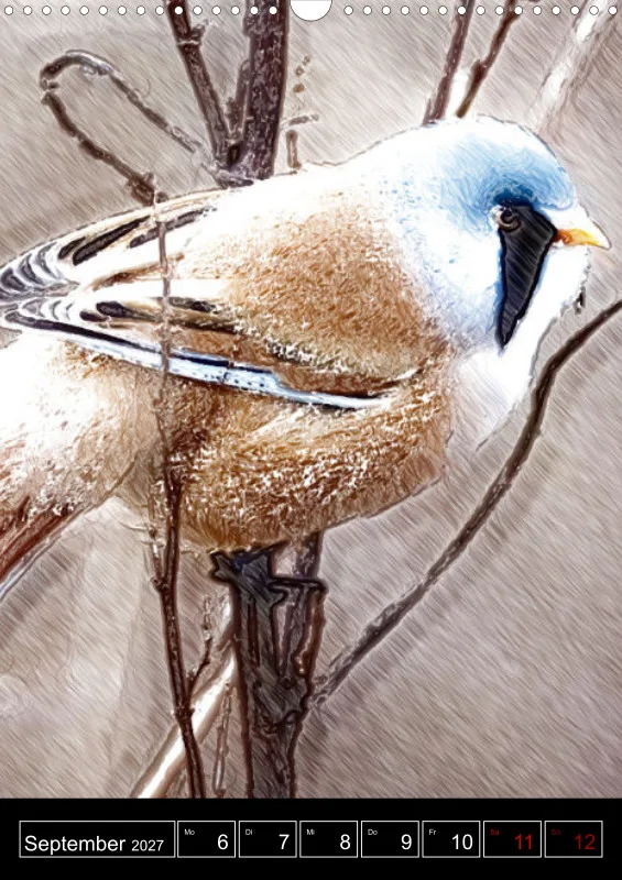 des oiseaux