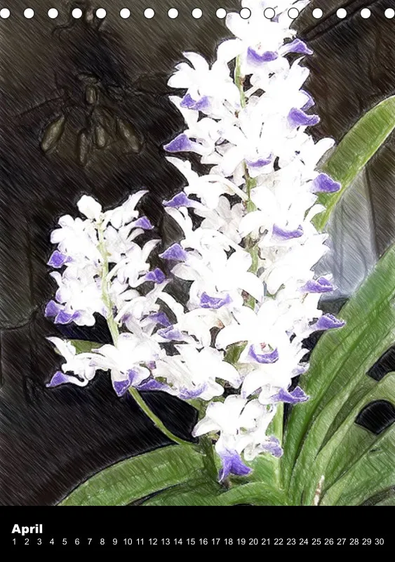 Florale Pastelle