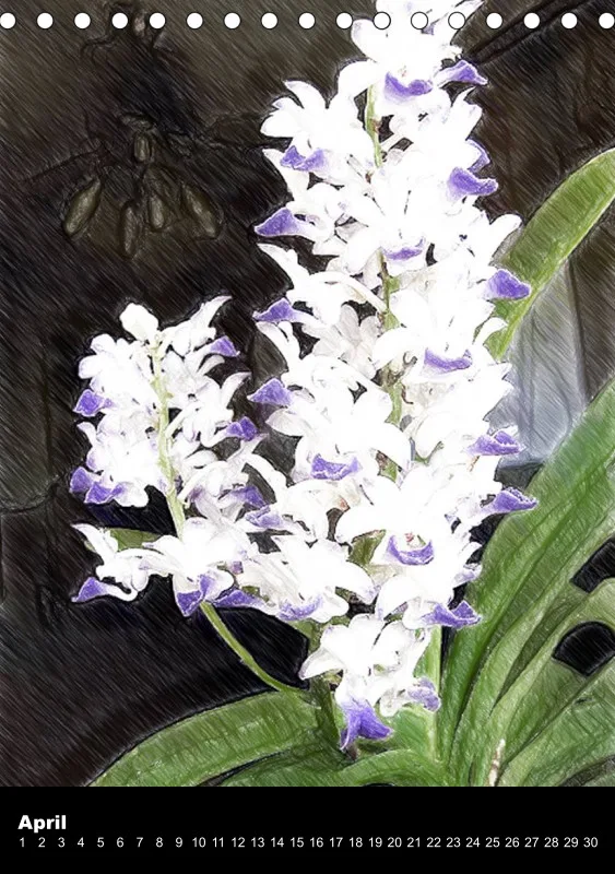 Florale Pastelle