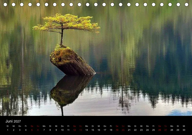 Szenen der Natur