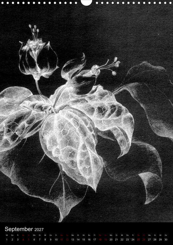 Fleures Noires(