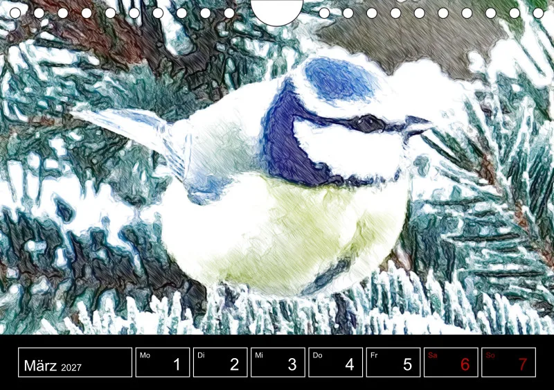 des oiseaux