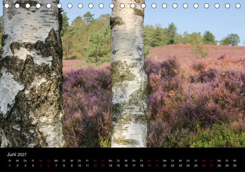 Die Lüneburger Heide