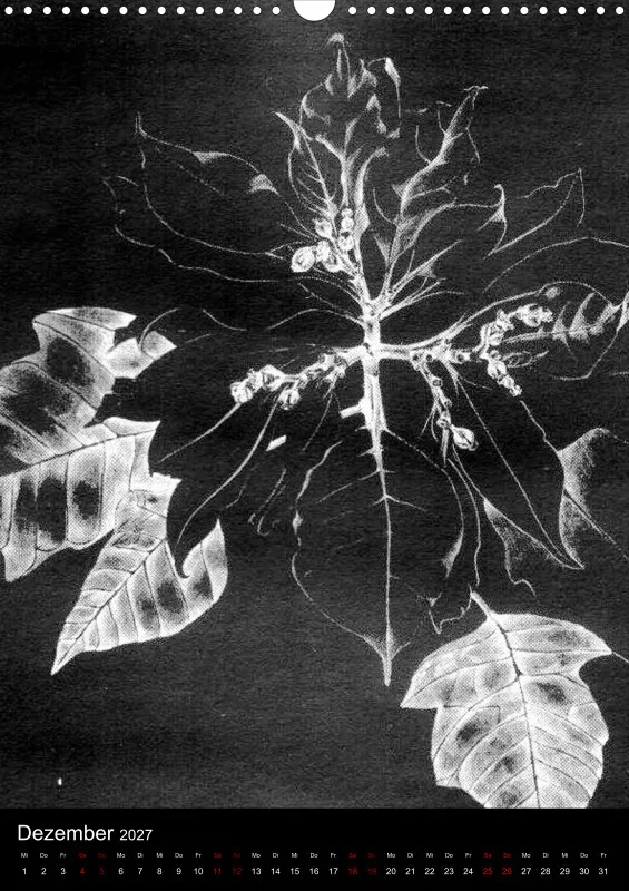 Fleures Noires(