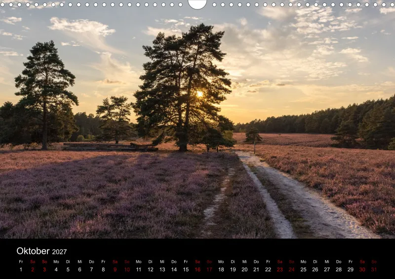 Die Lüneburger Heide