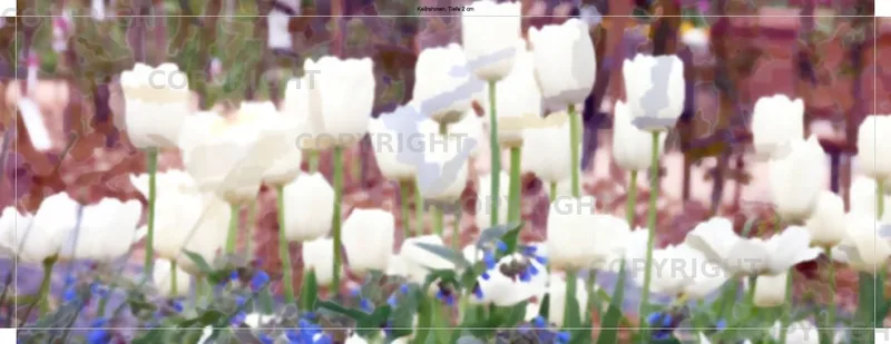 Weißer Frühling