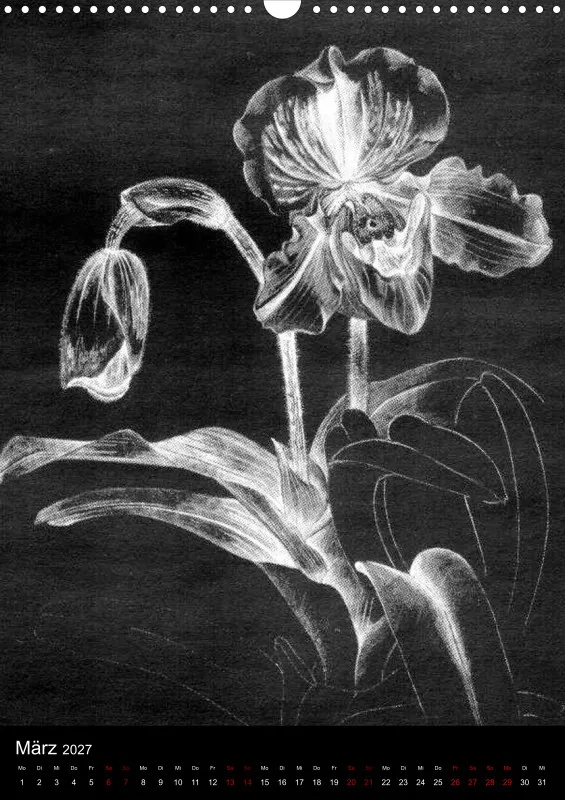 Fleures Noires(