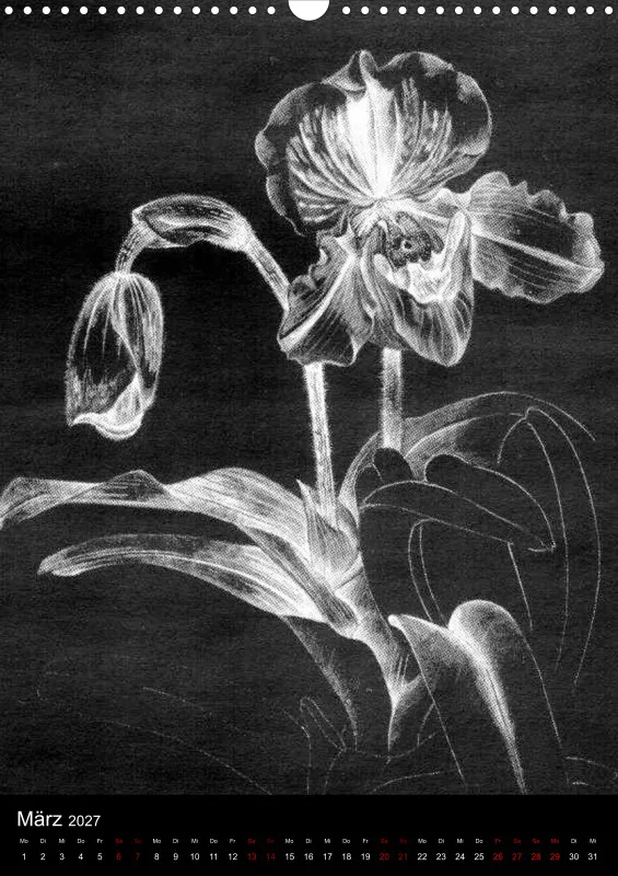Fleures Noires(